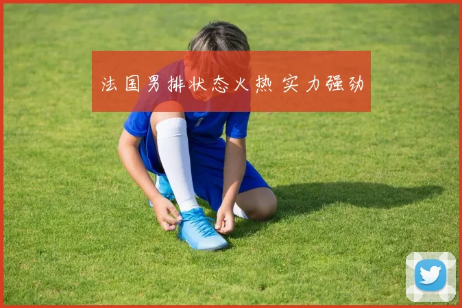 法国男排状态火热 实力强劲