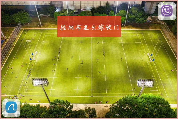 格纳布里头球破门