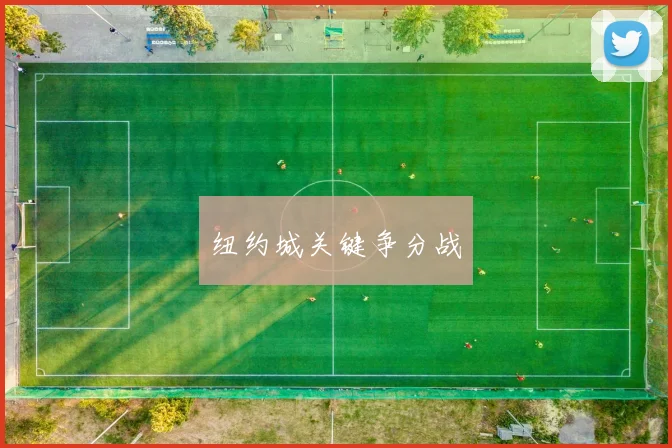 纽约城关键争分战