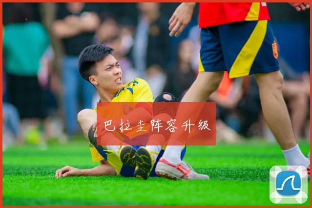 巴拉圭阵容升级