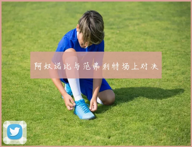 阿奴诺比与范弗利特场上对决