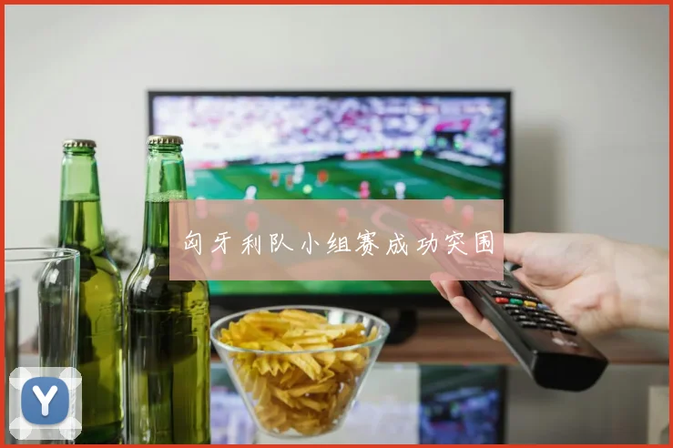 匈牙利队小组赛成功突围
