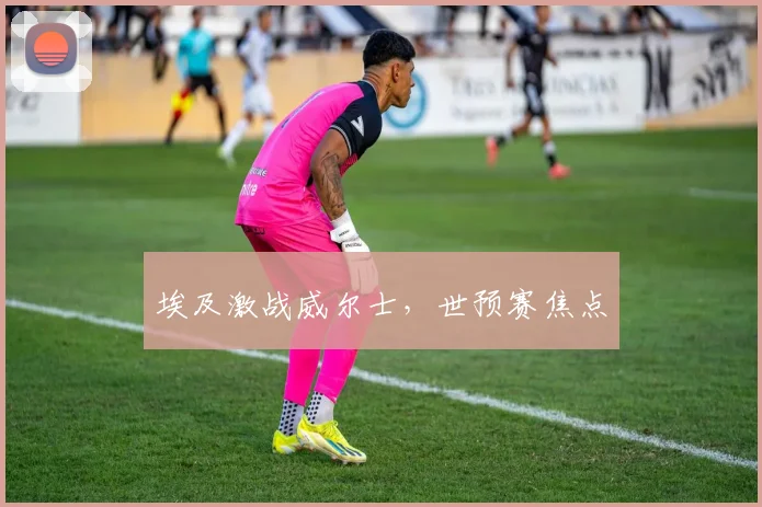 埃及激战威尔士，世预赛焦点