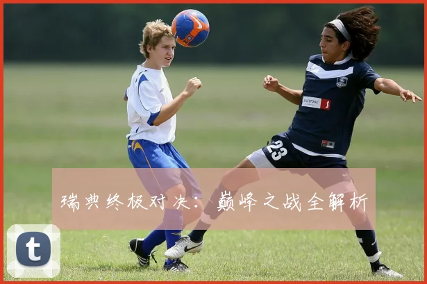 瑞典终极对决：巅峰之战全解析