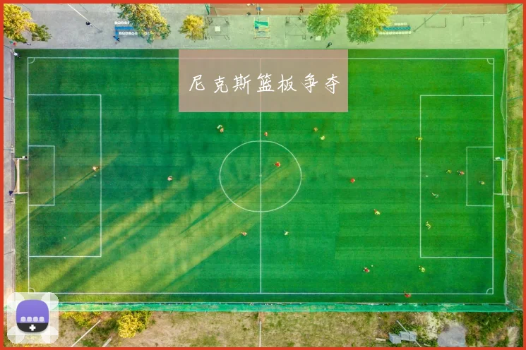 尼克斯篮板争夺
