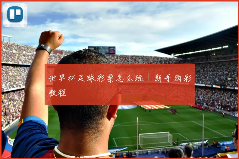 世界杯足球彩票怎么玩｜新手购彩教程