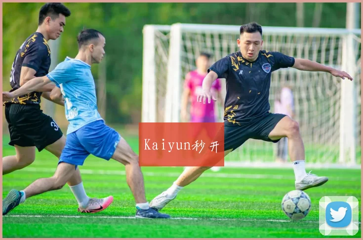 Kaiyun秒开