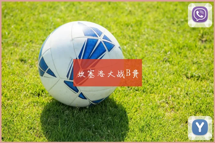 坎塞洛大战B费